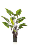 Productafbeelding van Pureplant
