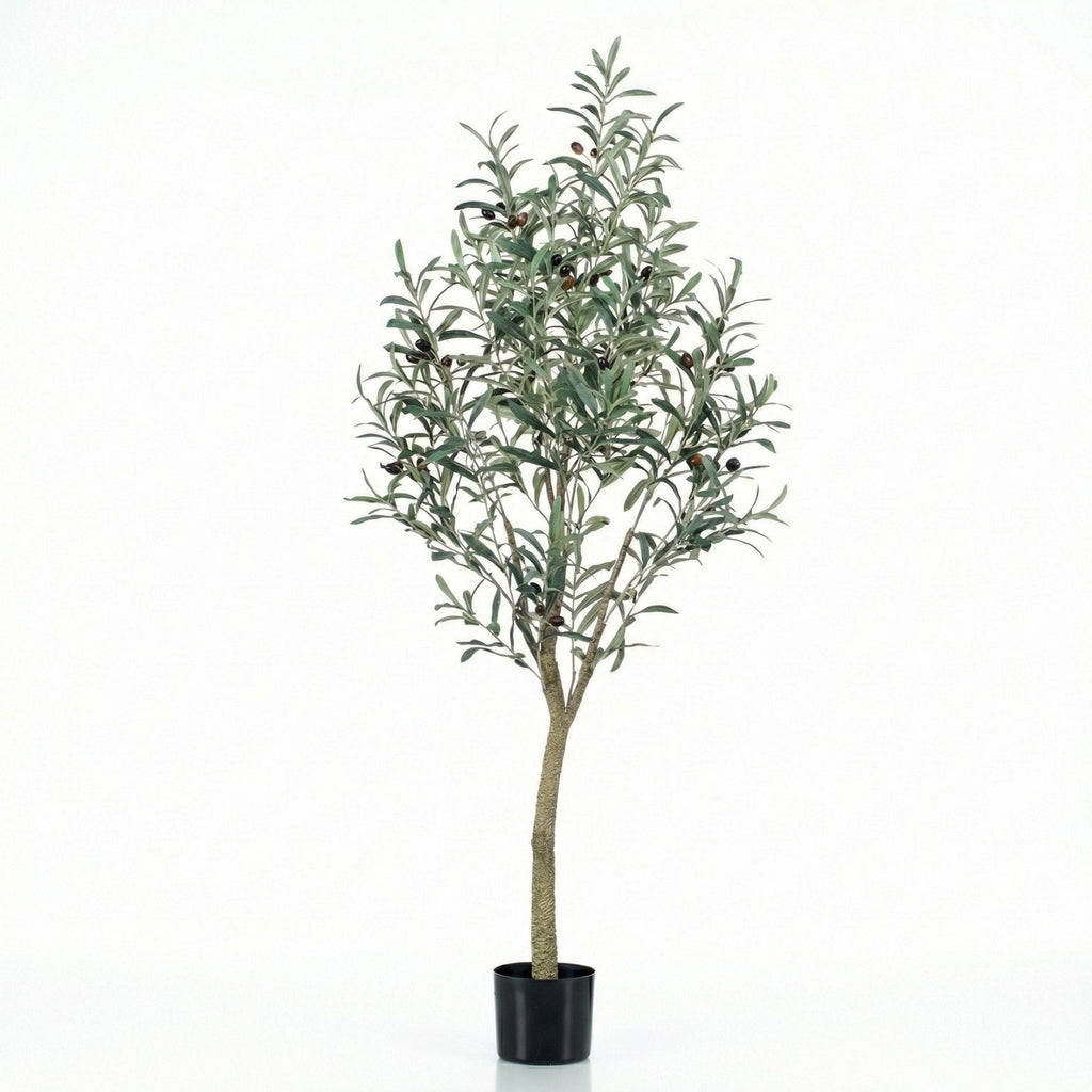 Kunst olijfboom in pot, gezonde plant