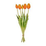 Tulpen boeket Oranje - 5 stuks - &