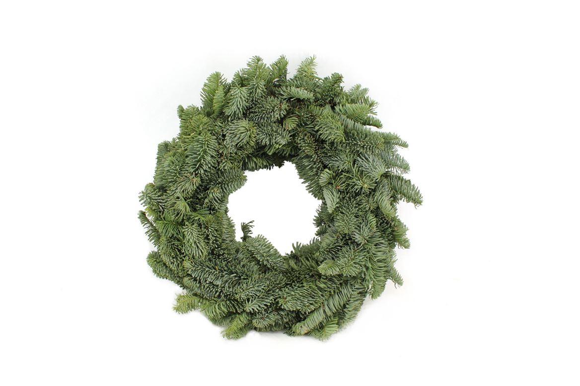 Nobiliskrans van echte dennentakken, Ø30 cm, plant in pot