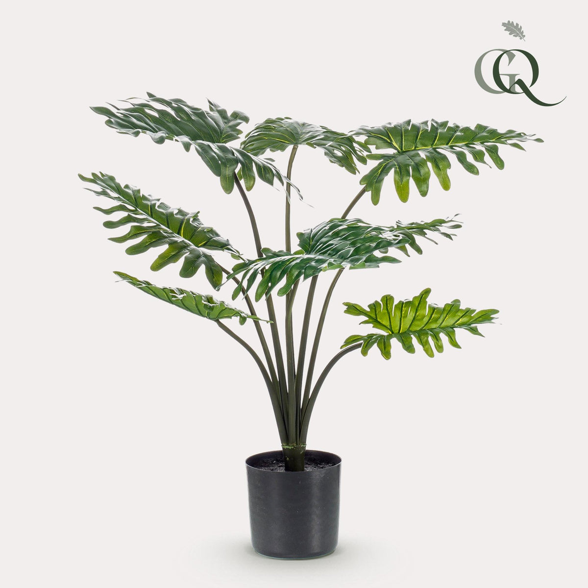 Productafbeelding van Pureplant