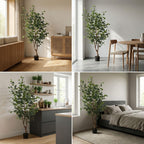 Eucalyptus boom, sierlijke plant