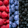 Vruchten feestje, BIO fruitplanten mix van 3 soorten