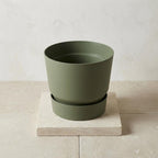 Elho Greenville ronde pot, mat leaf green, Ø20 cm, gezonde plant