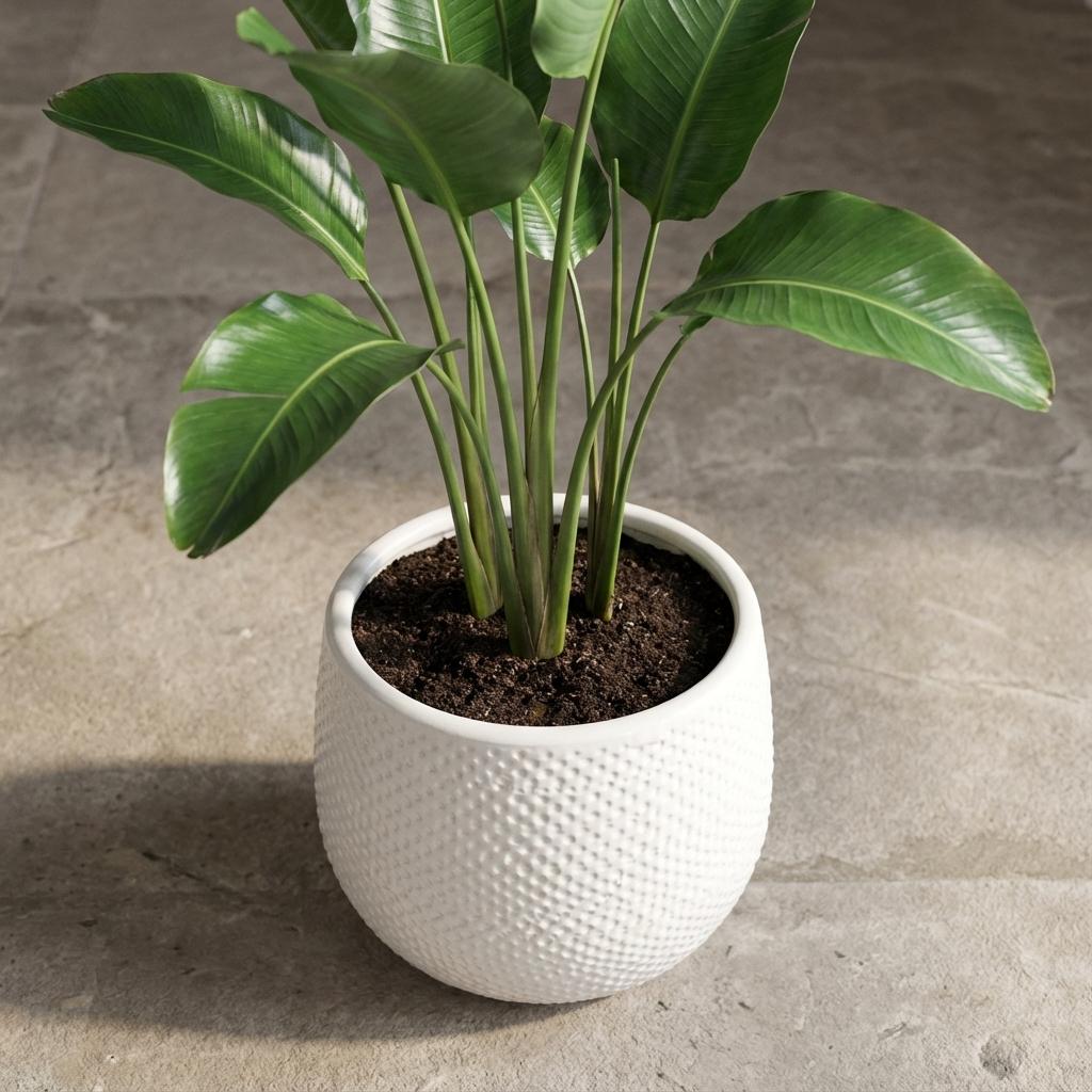 Pot Gabriel rond wit, detail van het blad