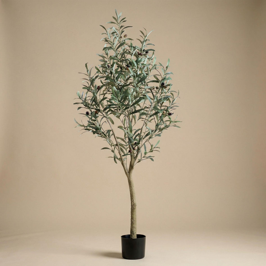 Kunst olijfboom in pot, plant in pot