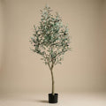 Kunst olijfboom in pot, plant in pot
