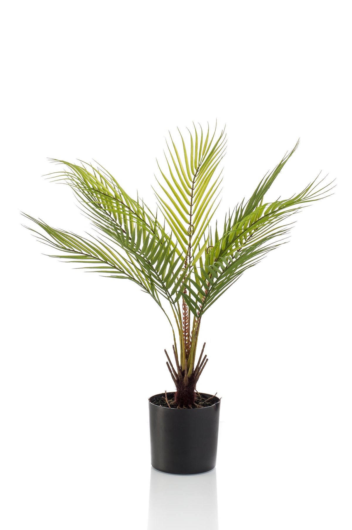 Kunstplant Chamaedorea, bergpalm met veerachtig blad, 50 cm, detail van het blad