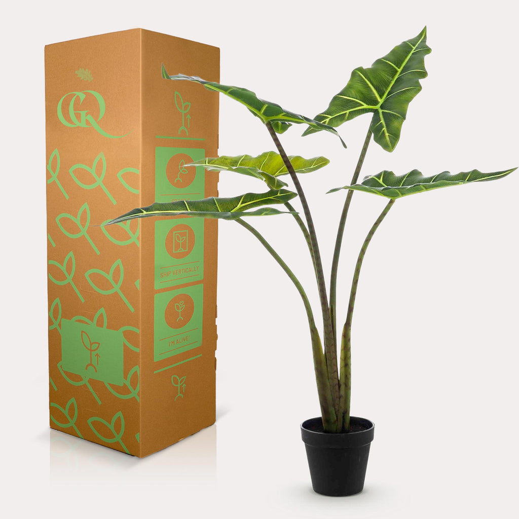Kunstplant Alocasia 'Frydek', fluweelachtig blad, 80 cm, groeiwijze van de plant