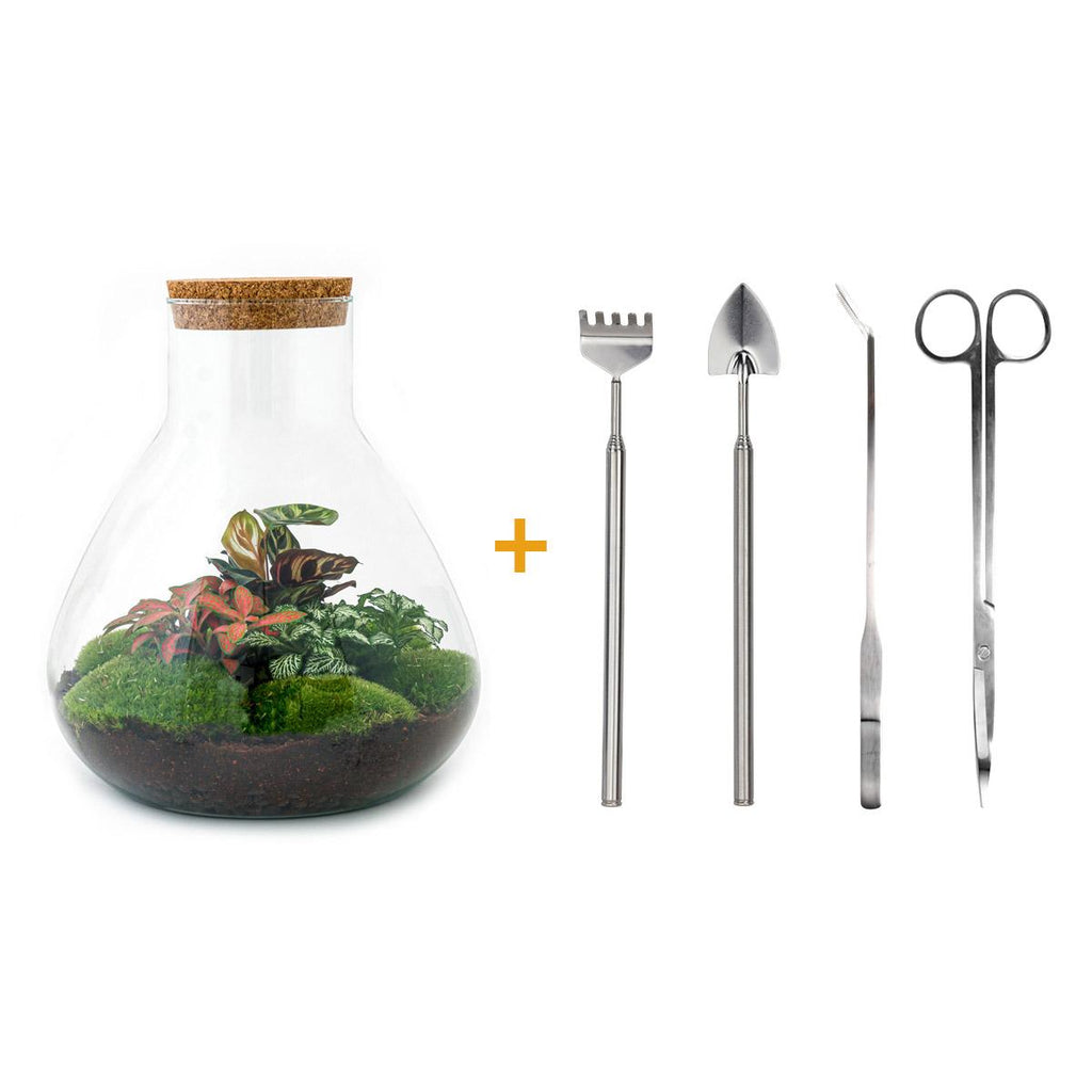 Detailfoto van DIY terrarium Sam XL Red met licht, compleet gereedschap