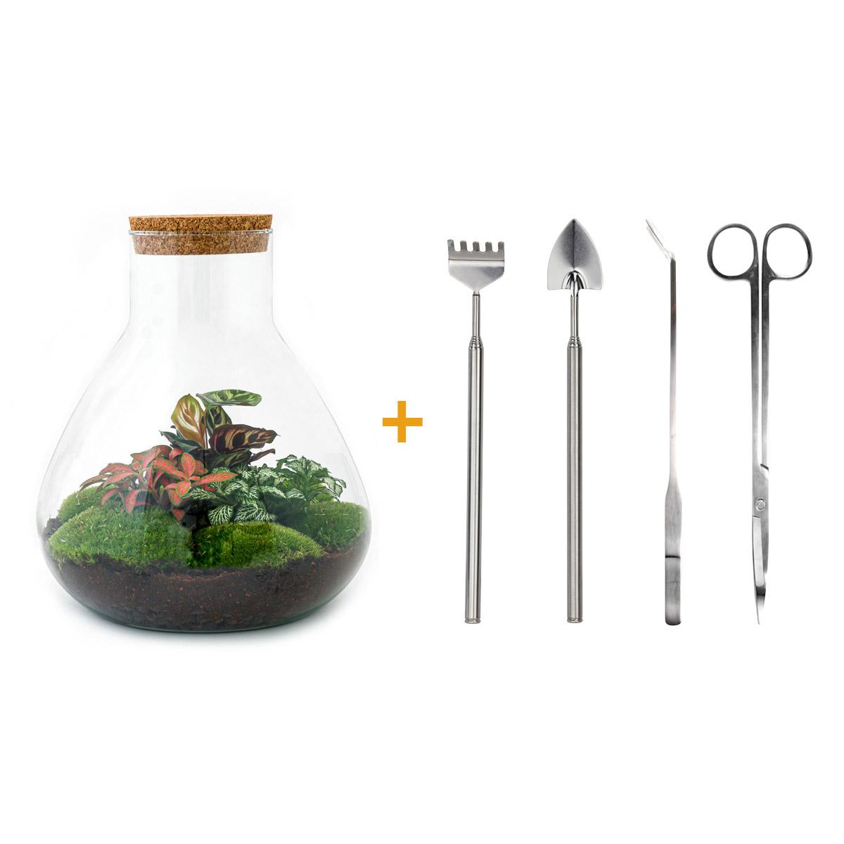 Detailfoto van DIY terrarium Sam XL Red met licht, compleet gereedschap
