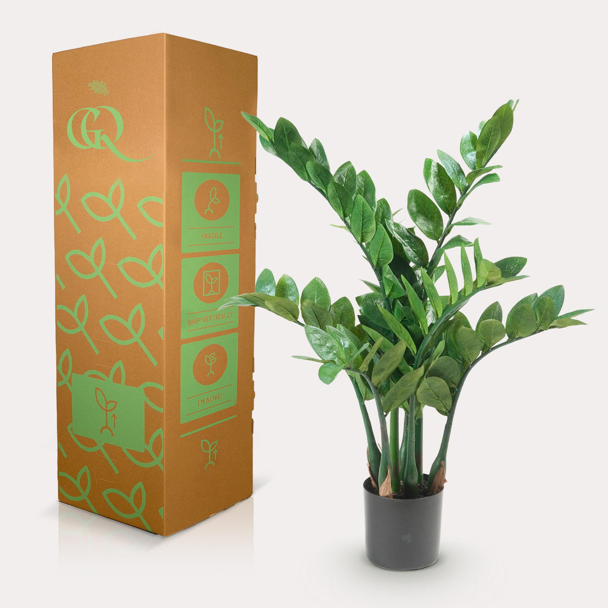 Productafbeelding van Pureplant