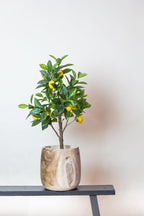 Productafbeelding van Pureplant