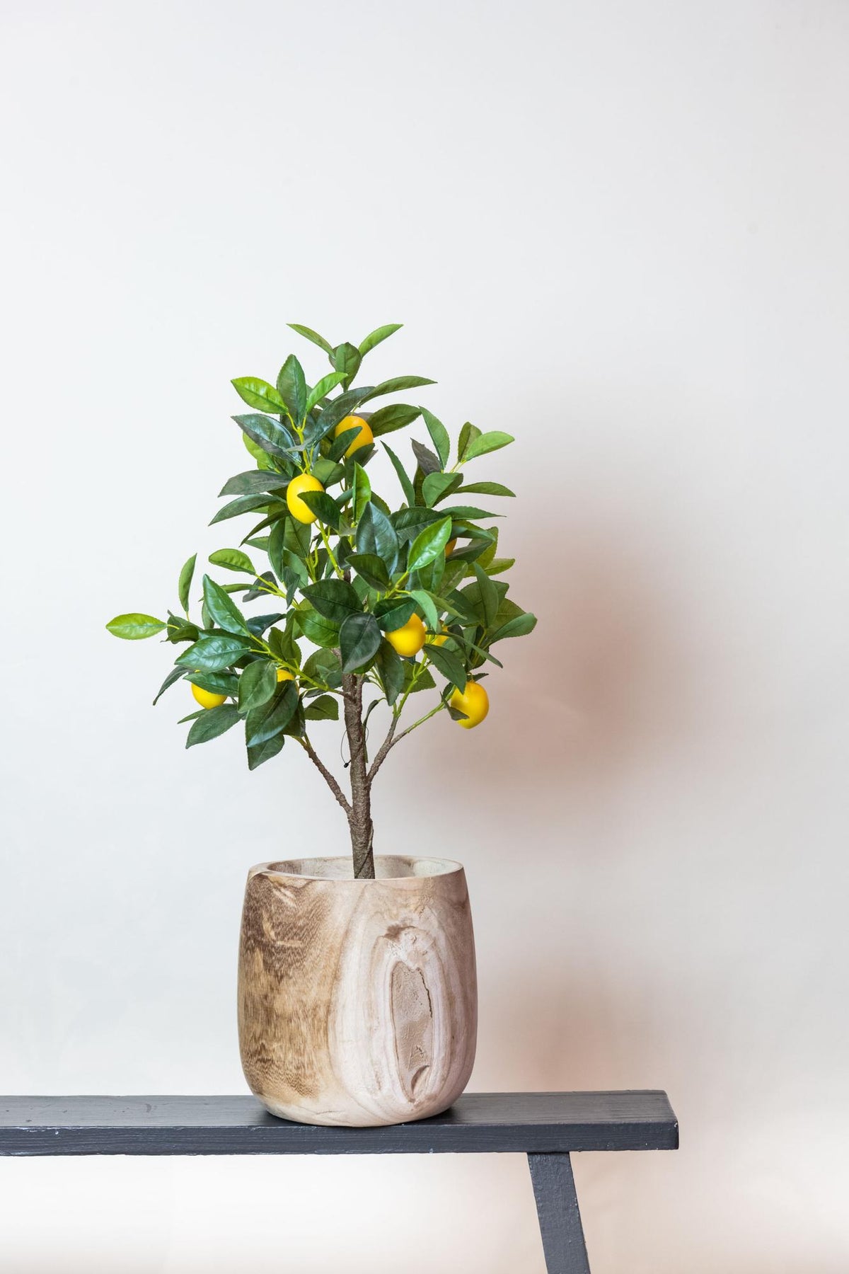 Productafbeelding van Pureplant
