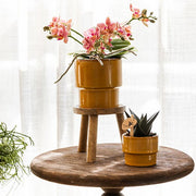 Kolibri Home Timeless sierpot - geel - Ø6 cm