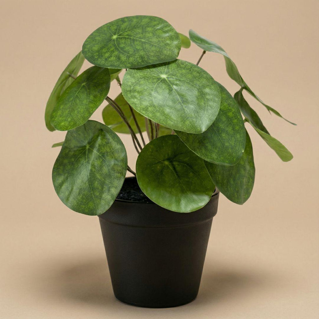 Pilea bush kunstplant in zwarte pot, detail van het blad