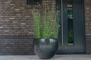 Set van 3 potten - Thom Zwart metaal - Breed