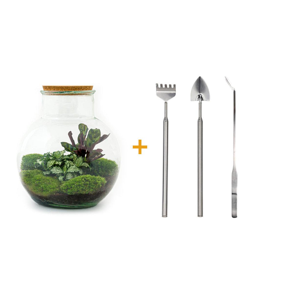 Detailfoto van DIY terrarium Teddy met licht, hark, schep, pincet