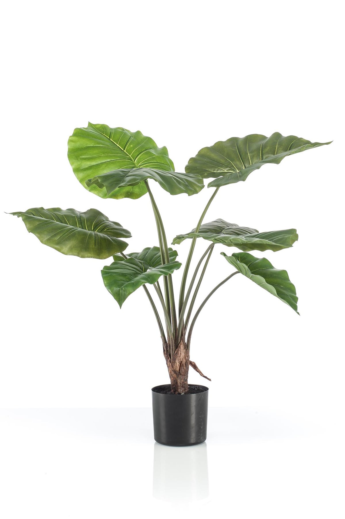 Kunstplant Alocasia, olifantsoor met pijlvormig blad, 70 cm, detail van het blad