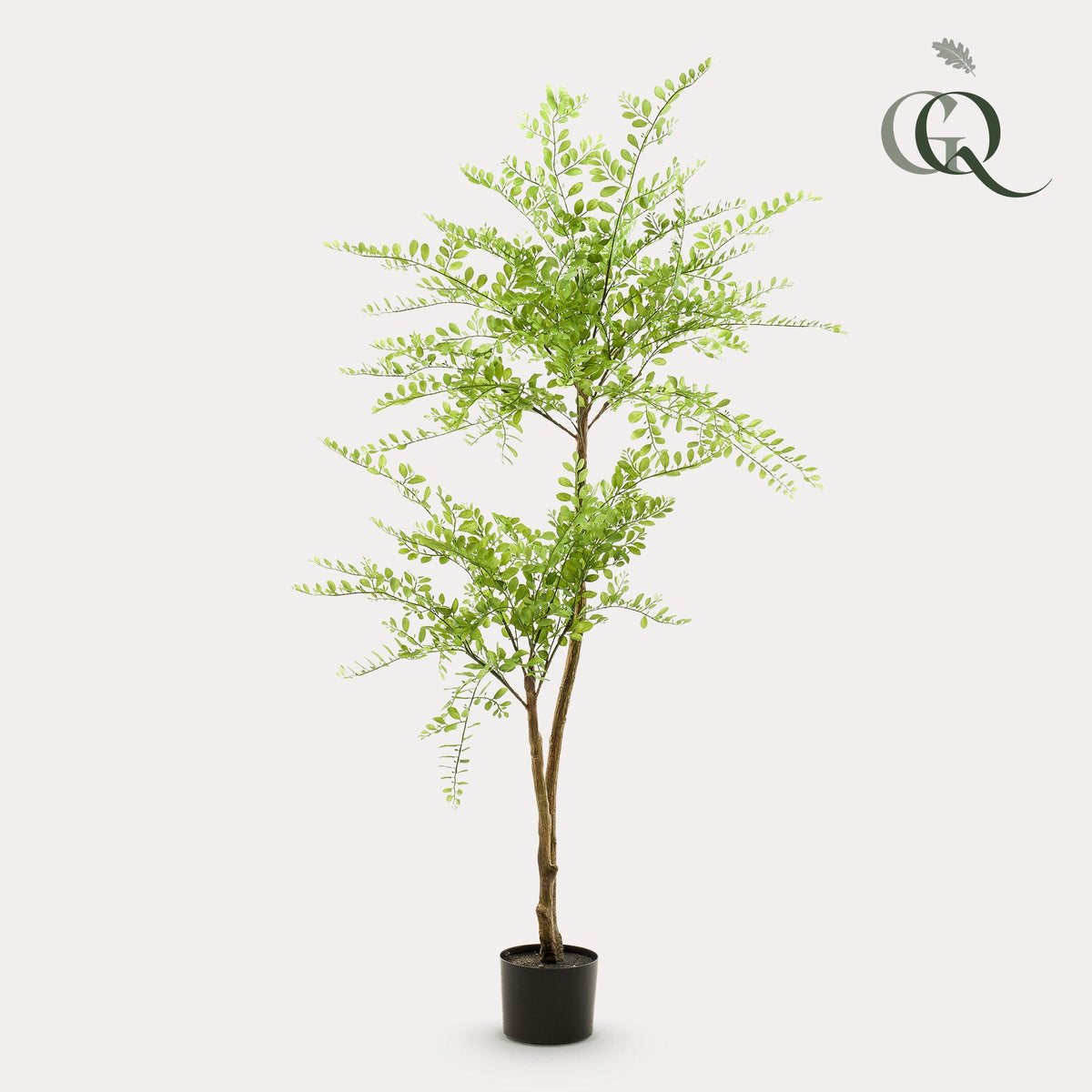 kunstplant - Sophora tree  - Honingboom, plant in pot