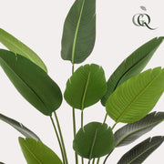 Kunstplant Strelitzia nicolai, paradijsvogelbloem, 190 cm