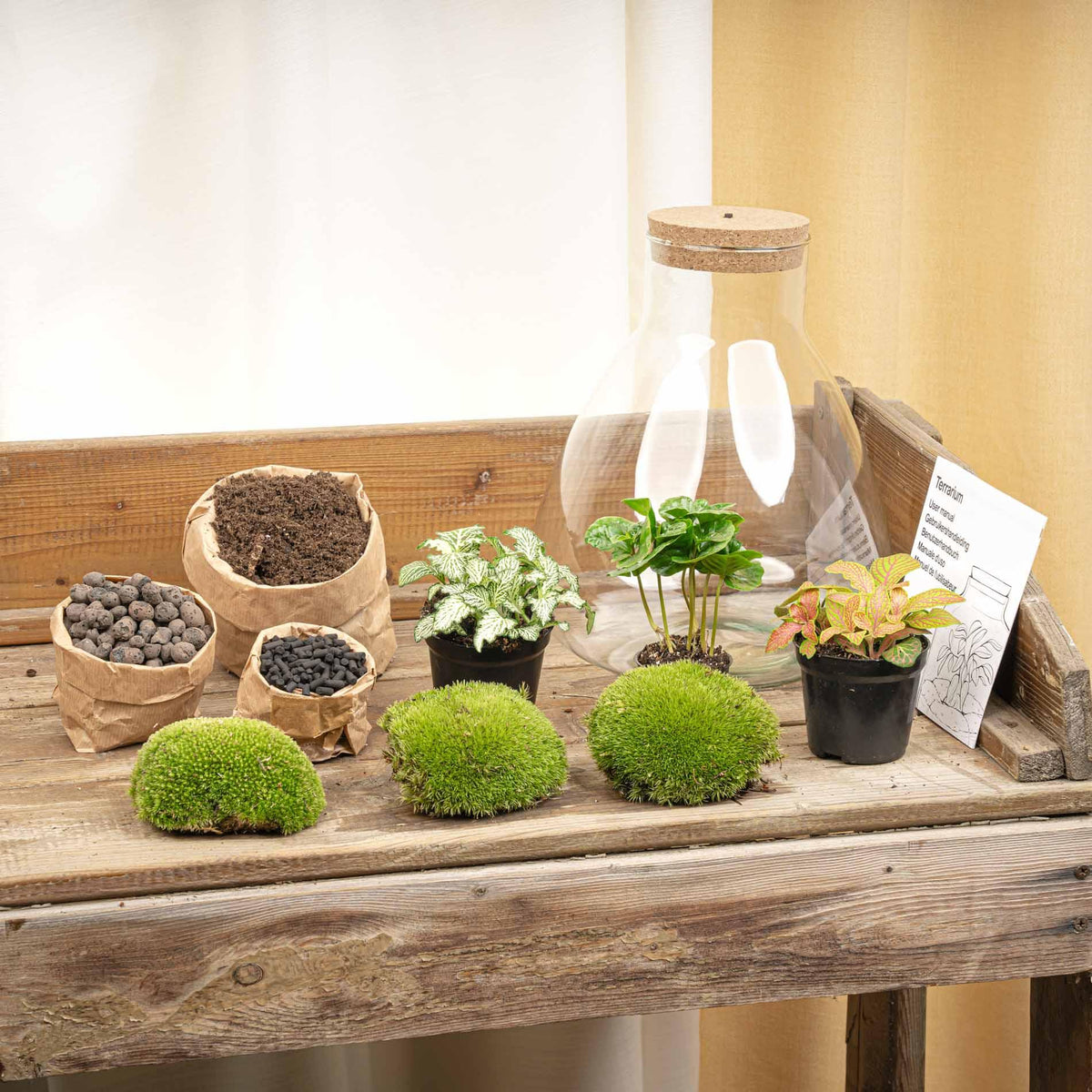 Productafbeelding van Pureplant