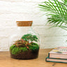 DIY terrarium - Little Joe - Zonder gereedschap