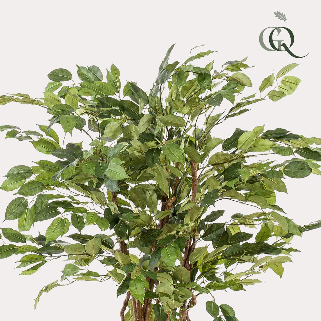 kunstplant - Ficus liana  - Vioolbladplant, detail van het blad