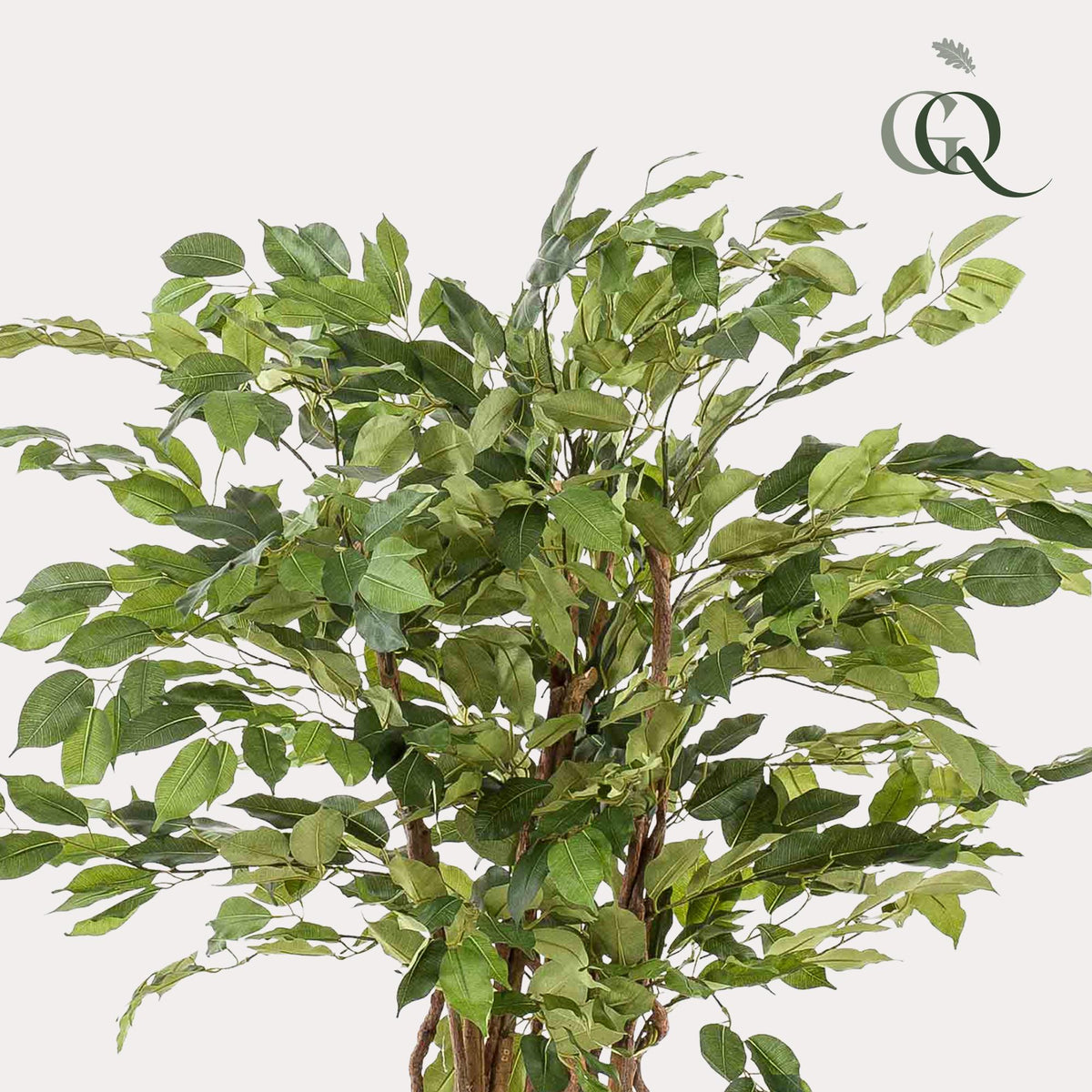 kunstplant - Ficus liana  - Vioolbladplant, detail van het blad