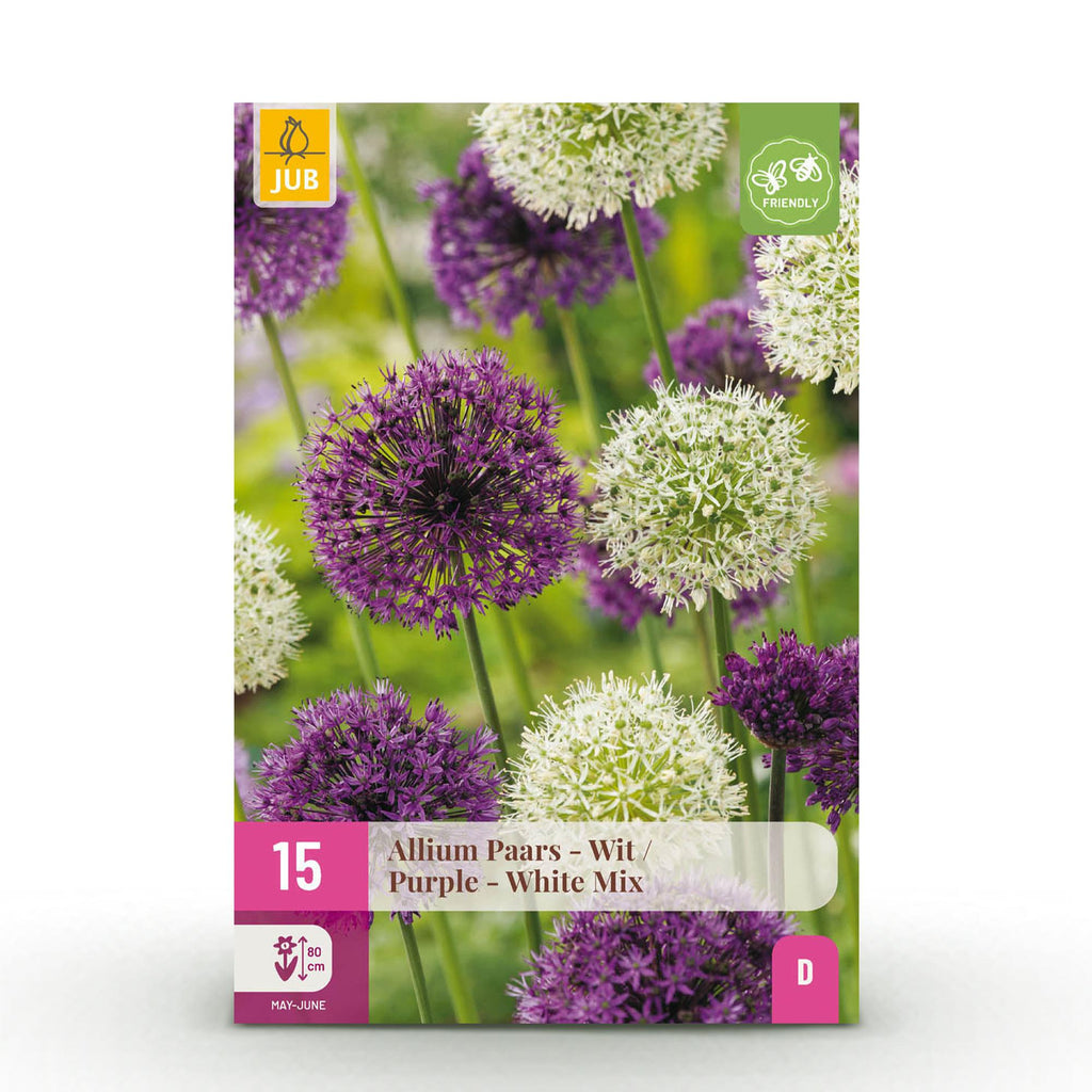 Allium Purple White Mix, detail van het blad