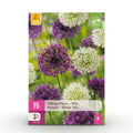 Allium Purple White Mix, detail van het blad