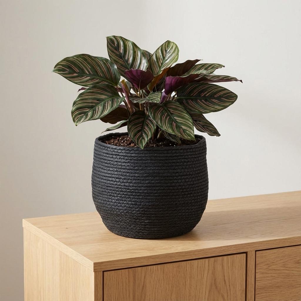 Detailfoto van Mand Jorck zwart 26 cm