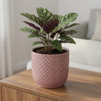 Detailfoto van Mini plantenpot met reliëfstructuur in zacht roze, Ø7 cm