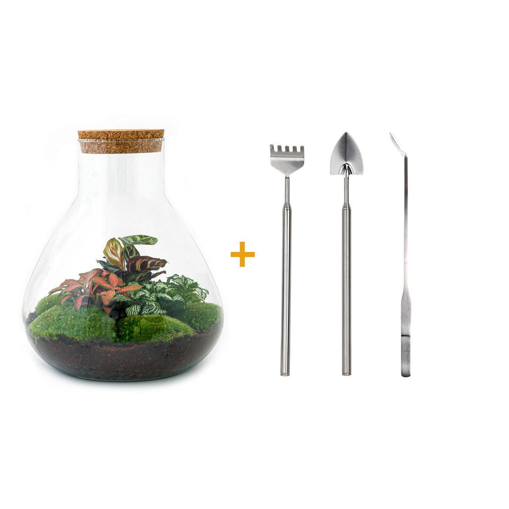 Detailfoto van DIY terrarium Sam XL Red met licht, hark, schep, pincet