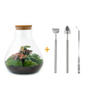 Detailfoto van DIY terrarium Sam XL Red met licht, hark, schep, pincet