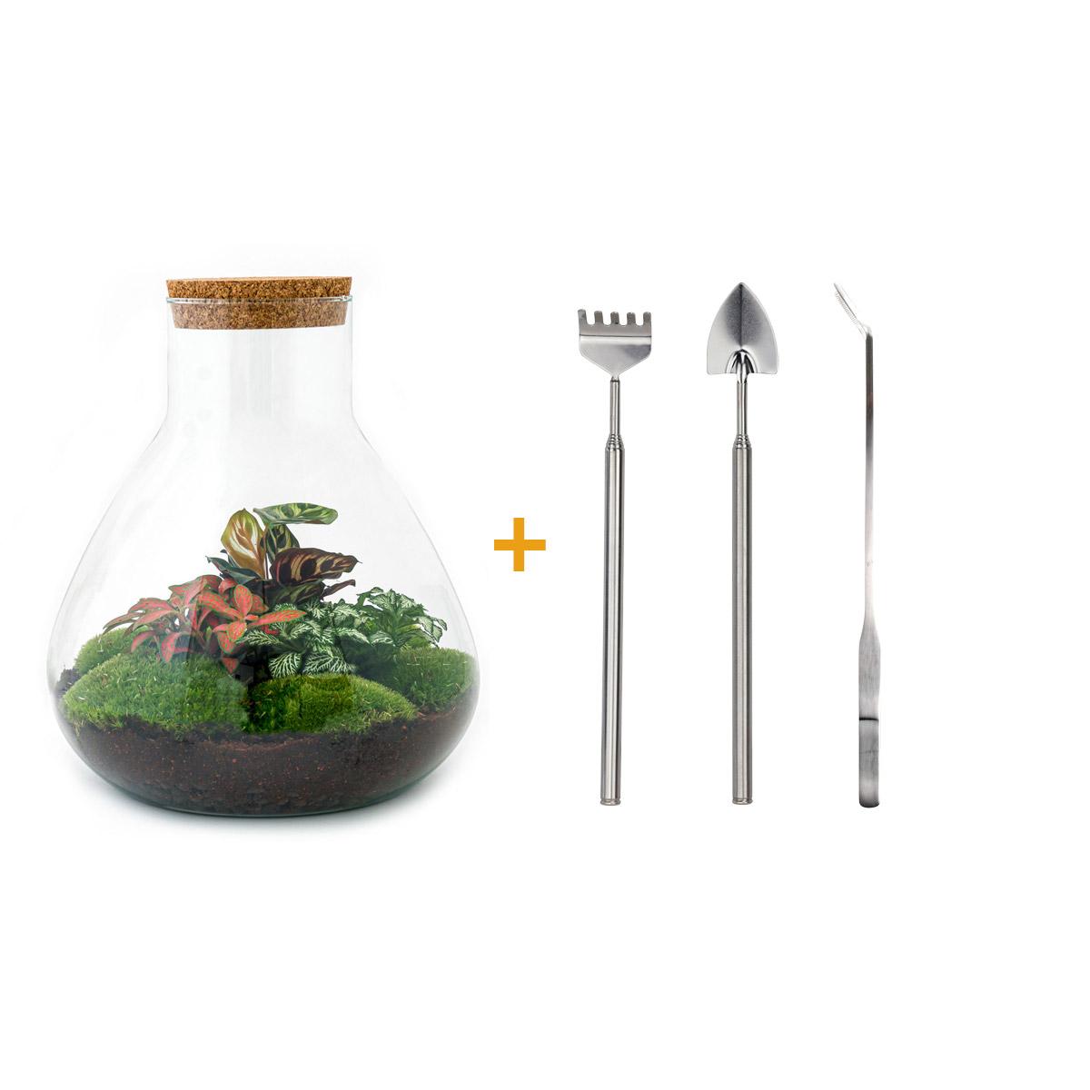 Detailfoto van DIY terrarium Sam XL Red met licht, hark, schep, pincet