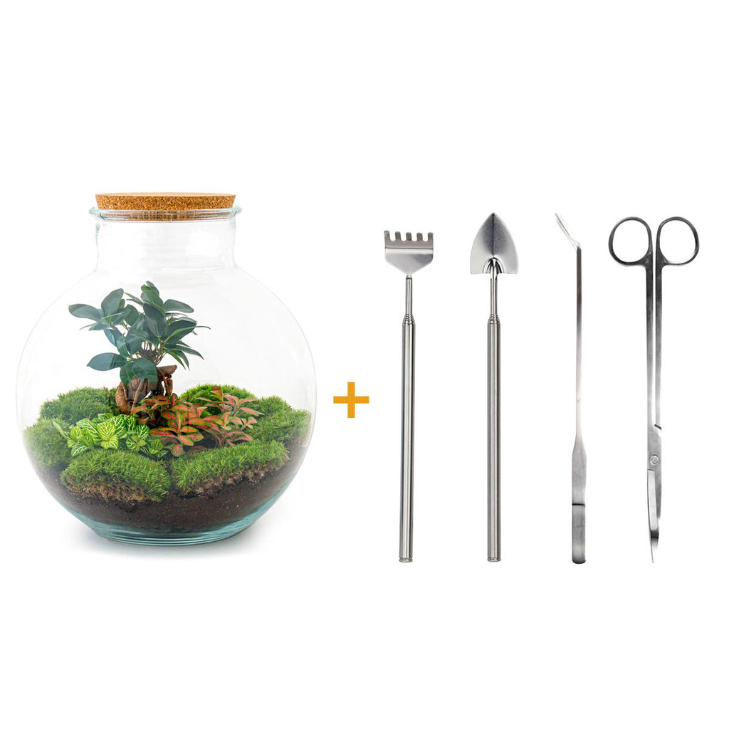 Productafbeelding van Pureplant