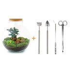 Productafbeelding van Pureplant