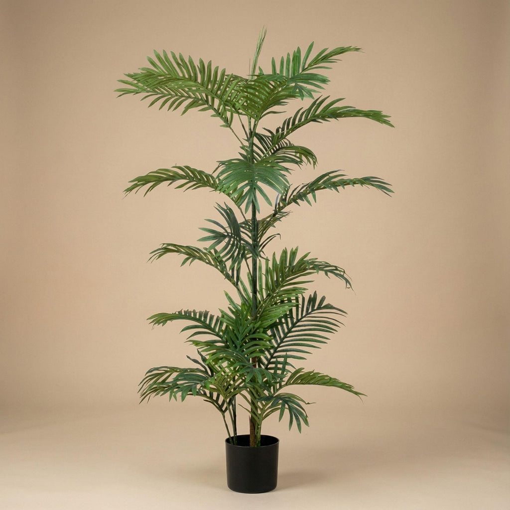 Palm Phoenix, detail van het blad