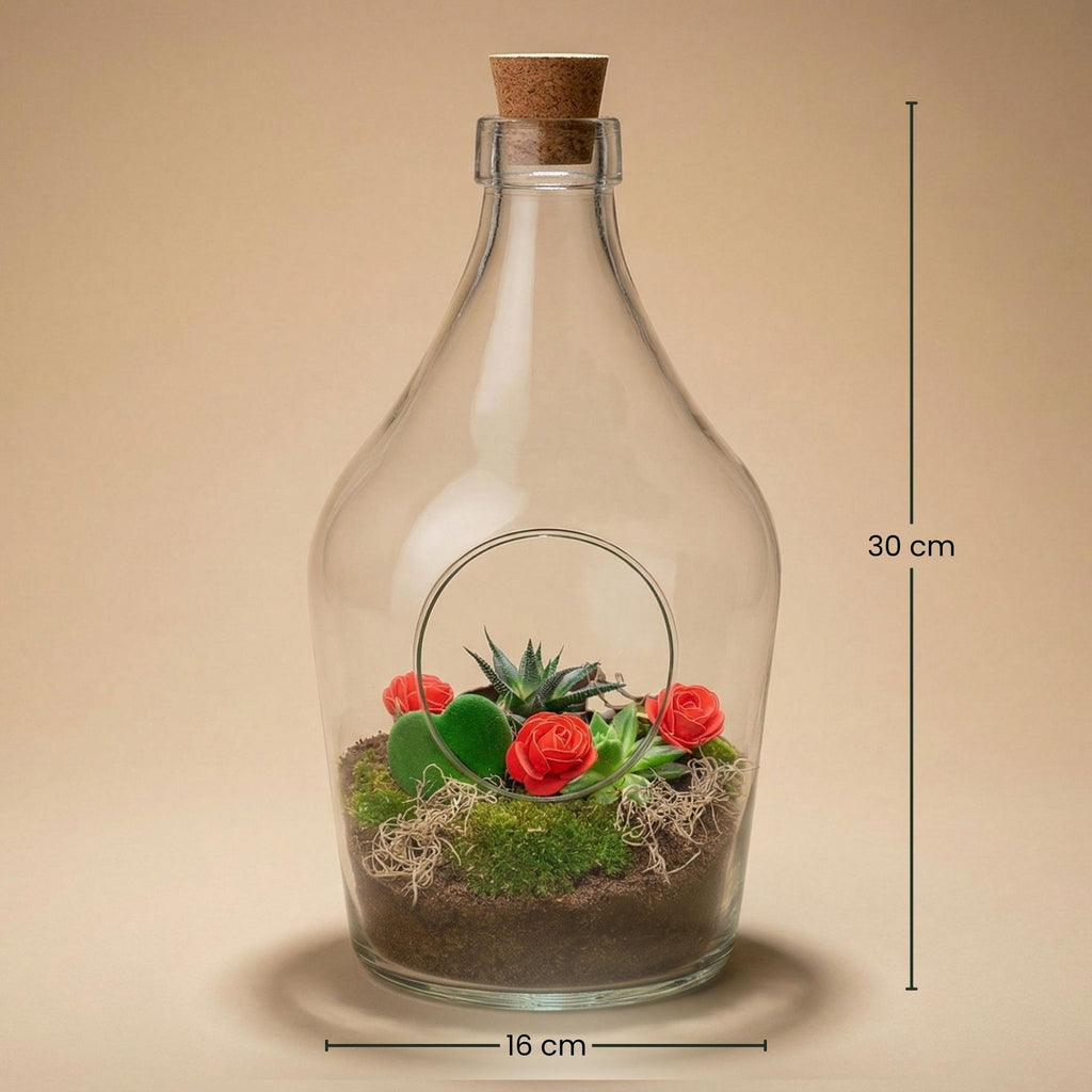 Love in a Bottle - DIY Open Planten terrarium, compacte plant