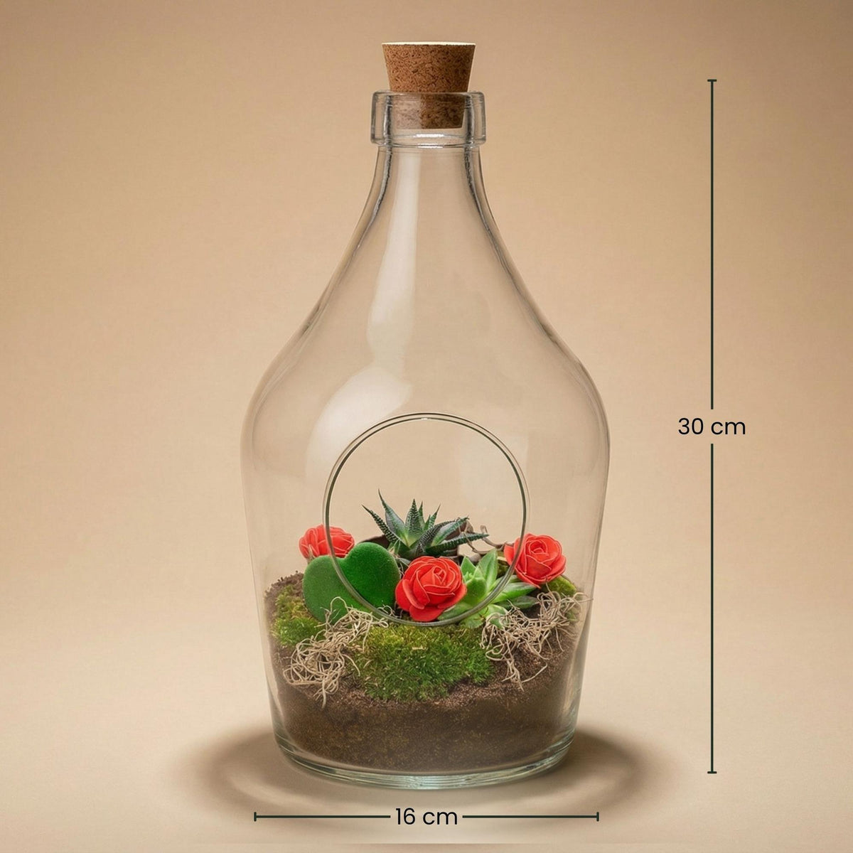 Love in a Bottle - DIY Open Planten terrarium, compacte plant