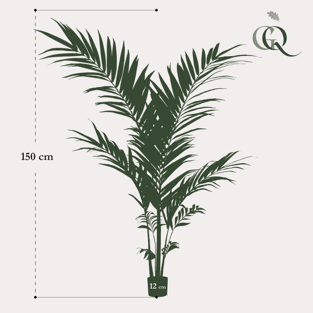 Productafbeelding van Pureplant