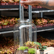 Terrarium Tool - Hark