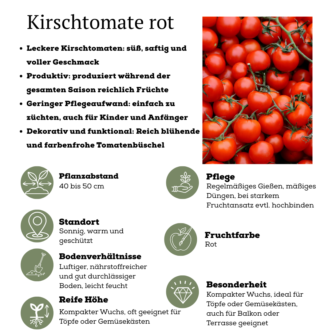 Rode plukgroente mix, tomaat, paprika, hete peper, 3 planten, compacte plant