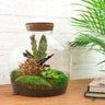 DIY Planten terrarium met licht - Fat Joe Red - Met hark en schep