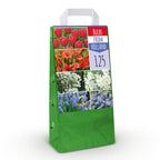 Bulbs From Holland, plant in pot