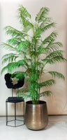Kunstplant - Chamaedorea Elegans - Bergpalm