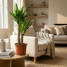 Yucca (Palmlelie)