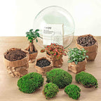 Detailfoto van DIY terrarium bolglas Dome XL Bonsai, hark, schep, pincet