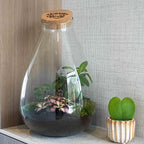 'Love Mom' terrarium Drop XL met gegraveerde kurk, plant in pot